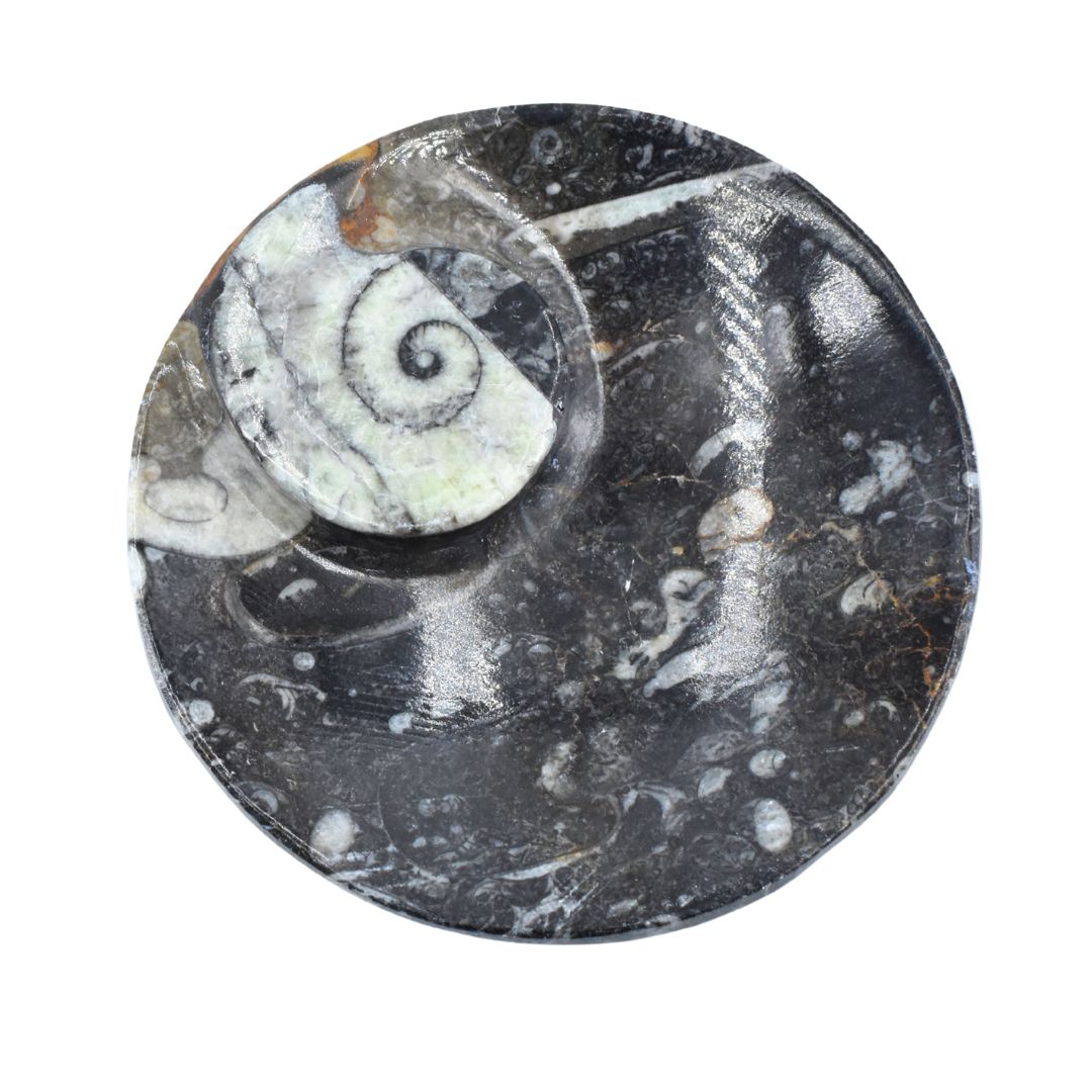 Räucherschale aus Orthoceras – Erdung aus der Tiefe der Zeit – Bild 4