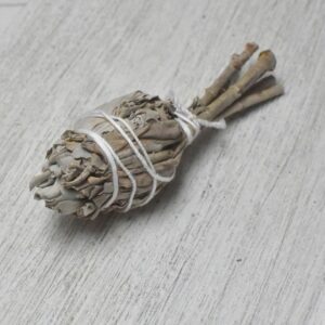 Weißer Salbei zum Räuchern – Reinigung für Raum & Aura - Tulpe