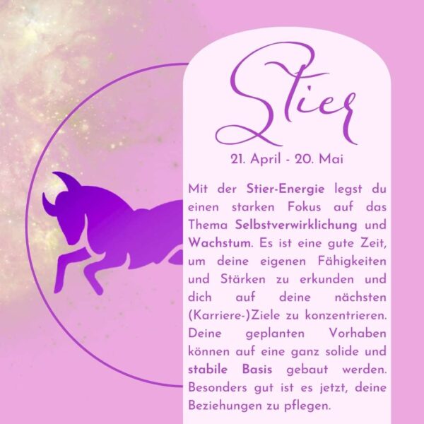 Stier - Kraftsteine - Set – Bild 6