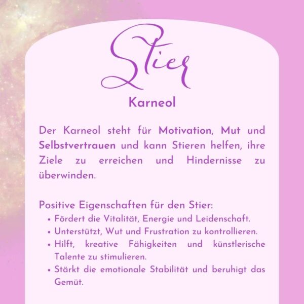 Stier - Kraftsteine - Set – Bild 9