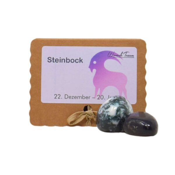 Steinbock - Kraftsteine - Set – Bild 4