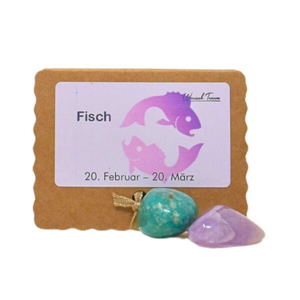 Fische - Kraftsteine - Set – Bild 4
