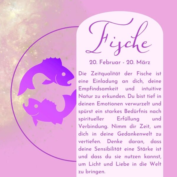 Fische - Kraftsteine - Set – Bild 6