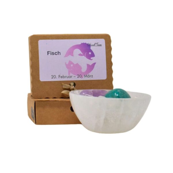 Fische - Kraftsteine - Set – Bild 5