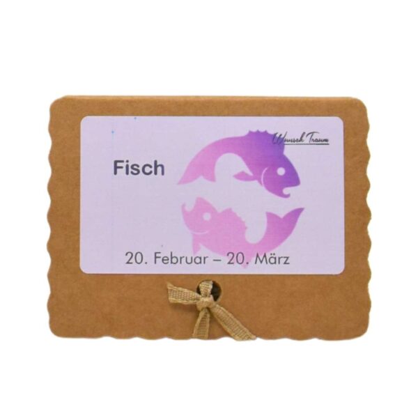 Fische - Kraftsteine - Set – Bild 3