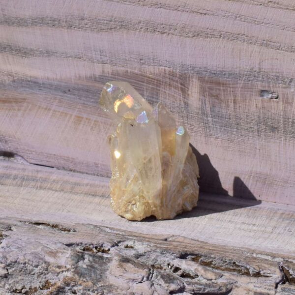 Angel Aura Freifrom – Bild 2
