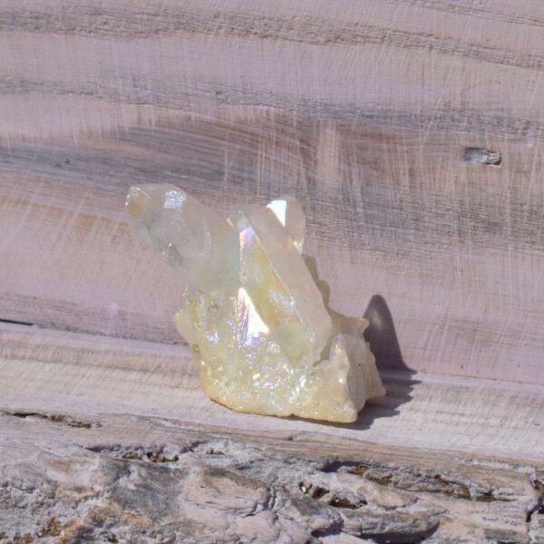 Angel Aura Freifrom – Bild 3