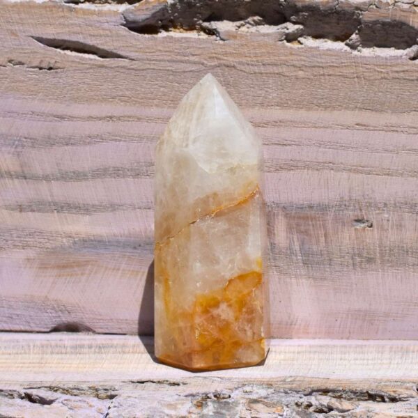 Golden Healer Spitze – Bild 6