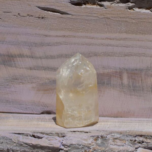 Golden Healer Spitze – Bild 5