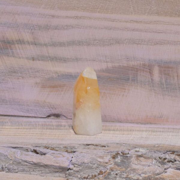 Golden Healer Spitze – Bild 3