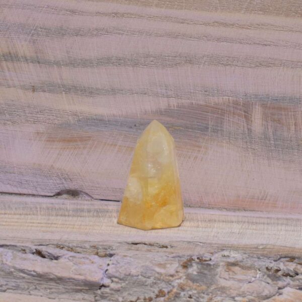 Golden Healer Spitze – Bild 5