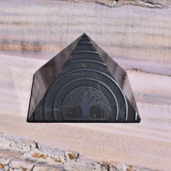 Schungit Pyramide - Lebensbaum – Bild 2