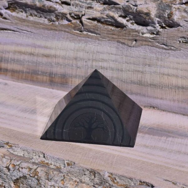 Schungit Pyramide - Lebensbaum – Bild 3