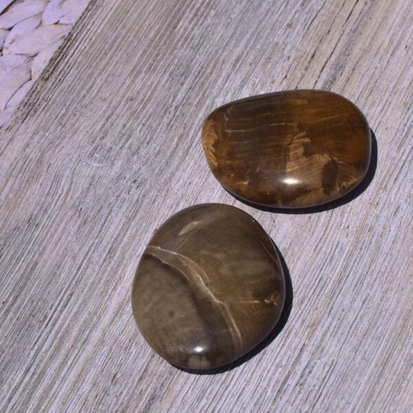versteinertes Holz Handschmeichler – Bild 3