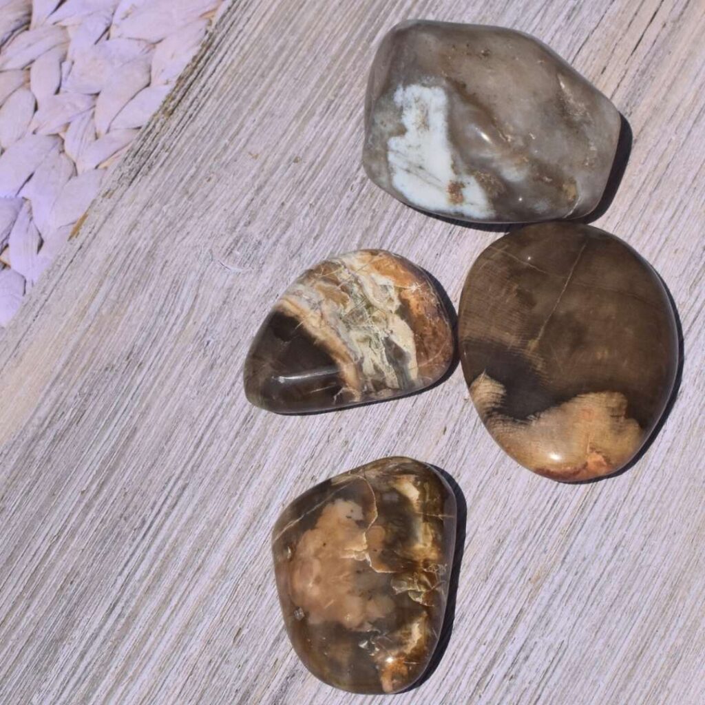 Versteinertes Holz Handschmeichler – Dein Ruhepol in der Hand