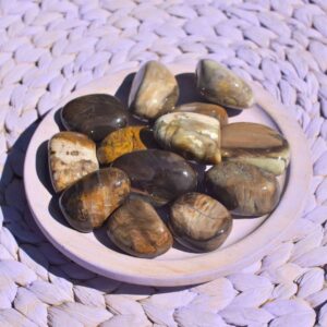 versteinertes Holz Trommelstein