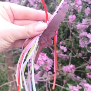 Beltane Feder – Magische Verbindung von Himmel und Erde