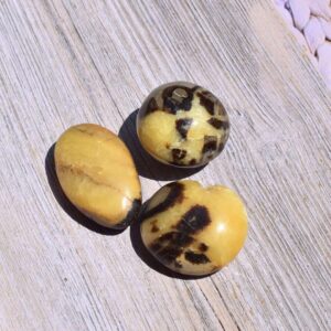 Septarie Handschmeichler – Dein Manifestationsstein mit Drachenkraft - klein