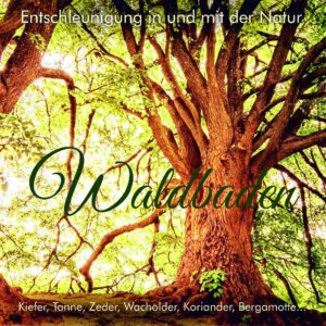 Waldbaden – Entschleunigung in der Natur